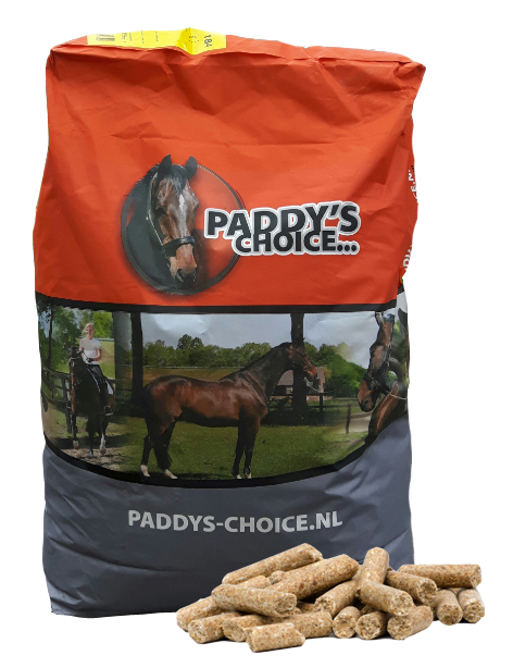 Paddys Choice.jpg